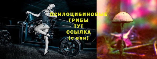 ECSTASY Медвежьегорск