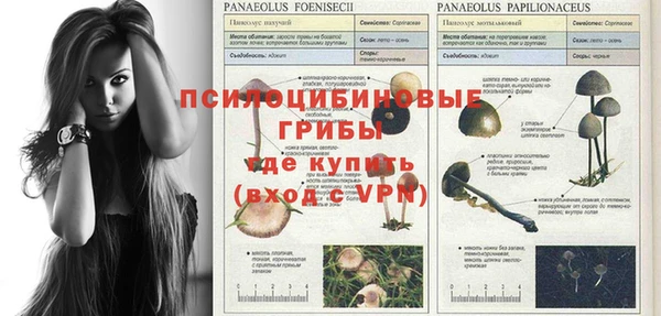 ECSTASY Медвежьегорск